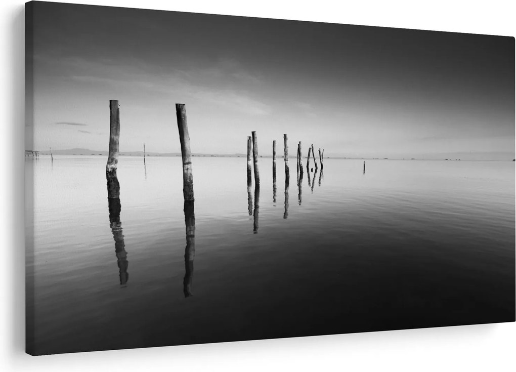 Tablou cu nivelul de lac alb negru (90x60 cm)