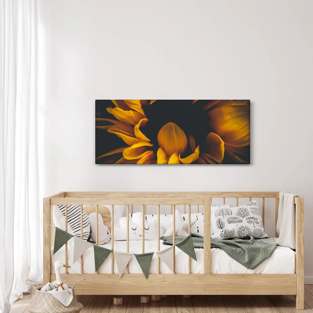 Tablou - Floarea-soarelui în fundal negru (120x50 cm)