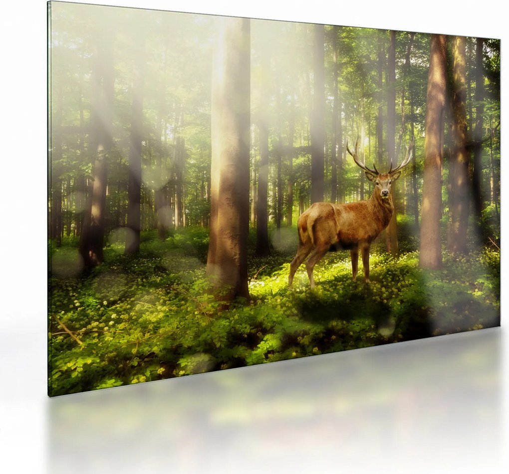 Tablou pe sticlă cu cerbul în pădure (70x50 cm)