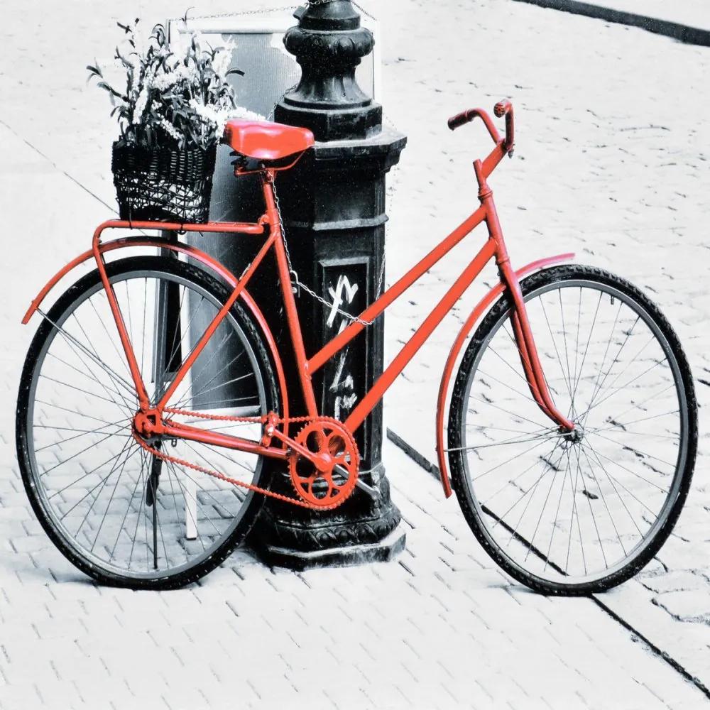 Falc Tablou pe pânză - Red bike, 70x70 cm