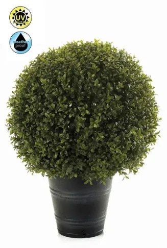 Plante de exterior - Boxwood ball UV - 53 cm