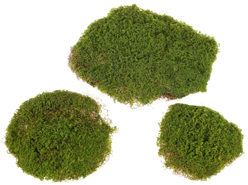 Decorațiune artificială Mușchi verde, 27 x 36 x 5cm