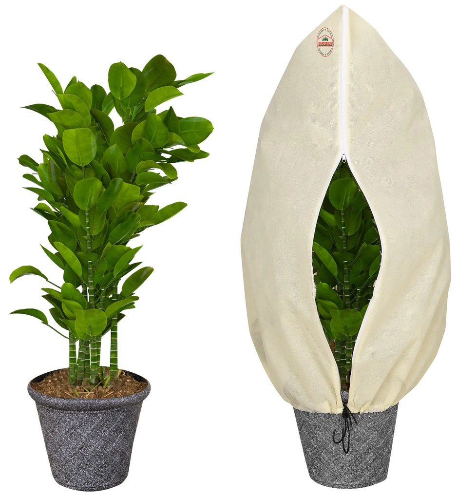 Deuba Husa de protectie a plantelor 2,5x3,6m - bej