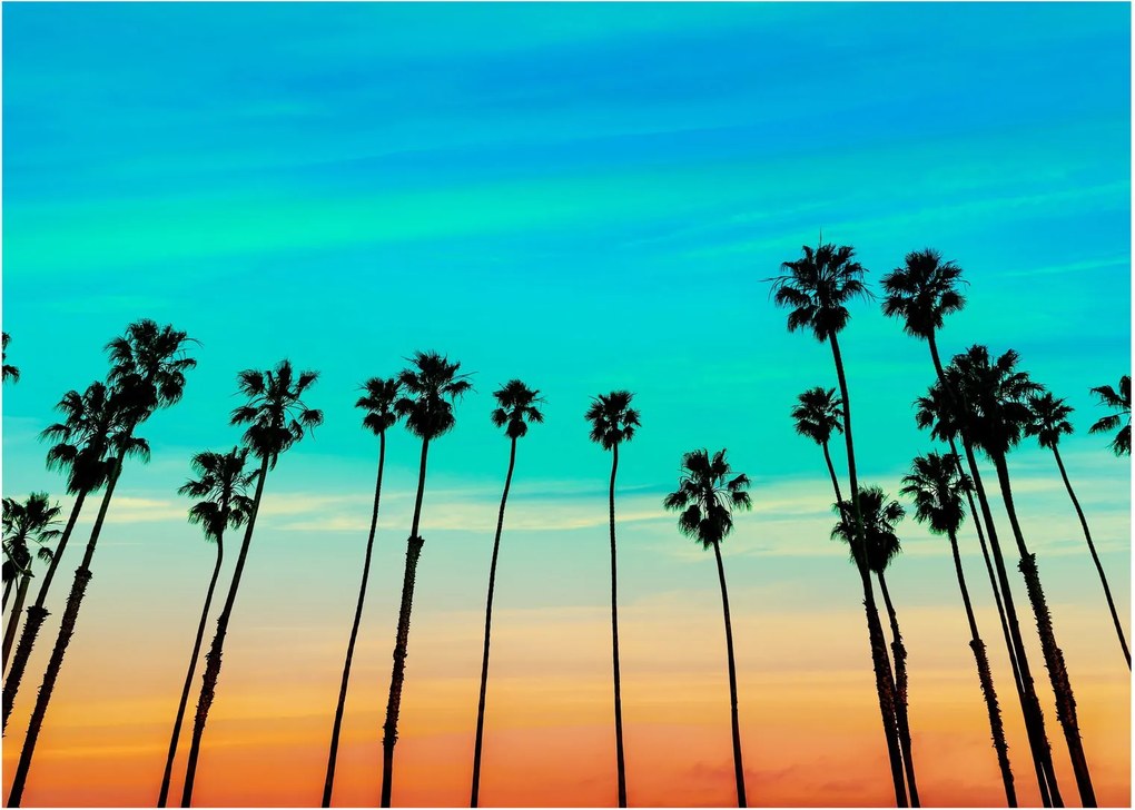 Tablou - California (70x50 cm)
