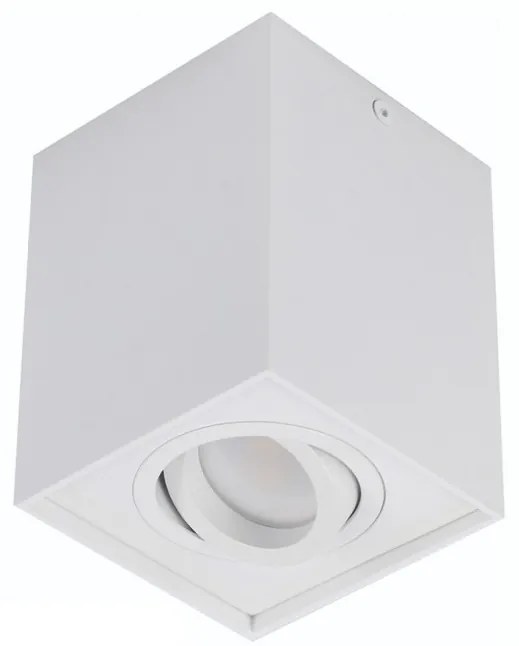 Spot directionabil aplicat tavan/plafon stil modern ELOY 1 White
