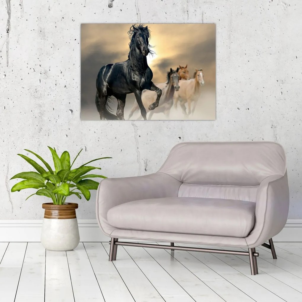 Tablou - Cai (70x50 cm)