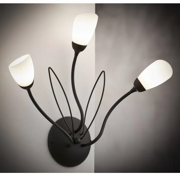 Jupiter 2059 - Aplică de perete GLORIOSA 3xG9/14W/230V, neagră