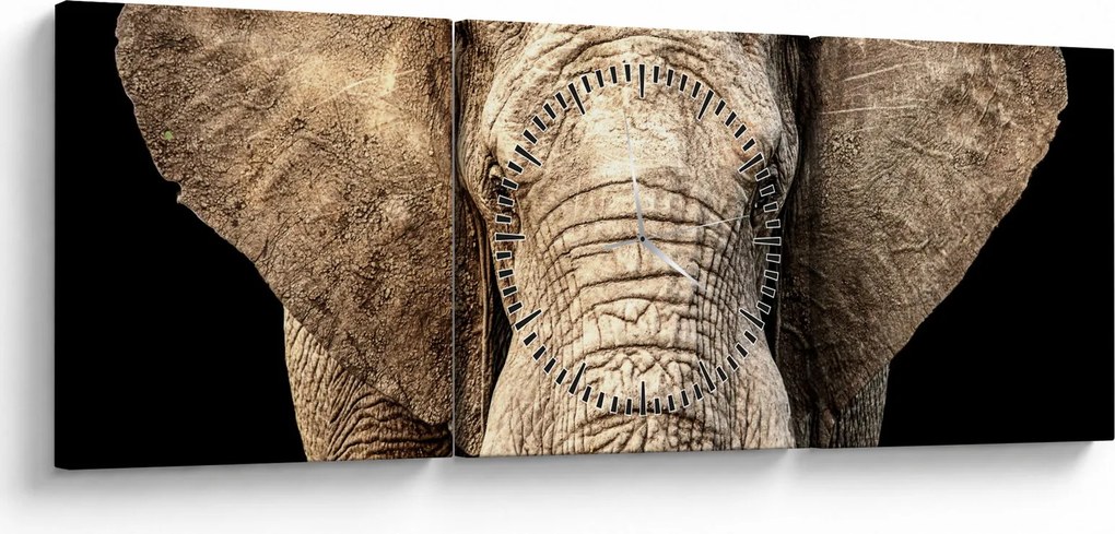 Tablou - Elefant african (cu ceas) (90x30 cm)