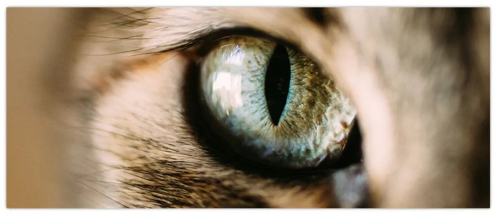 Tablou - Ochi de pisică (120x50 cm)
