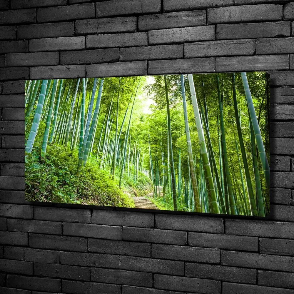 Tablou canvas Pădure de bambus