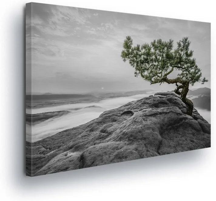 GLIX Tablou - Tree on the Reef in Gray 100x75 cm