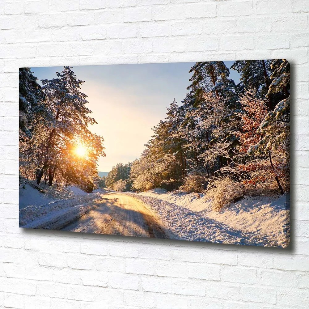 Print pe canvas Drumul în pădure de iarnă