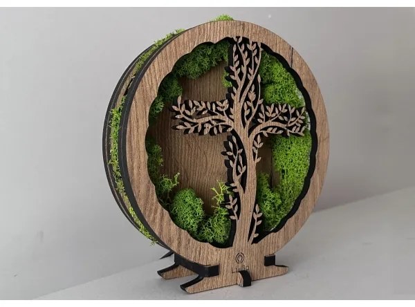 Li-Go 23622/DUB2 - Decorațiune de masă LED dimerizabilă LED/12W/230V 20x22 cm stejar