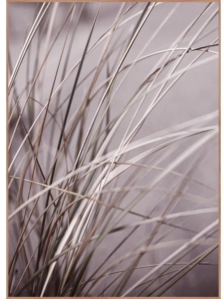Tablou 50x70 cm Mellow Grasses 1 – Malerifabrikken