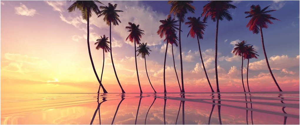Tablou cu palmieri deasupra mării (120x50 cm)