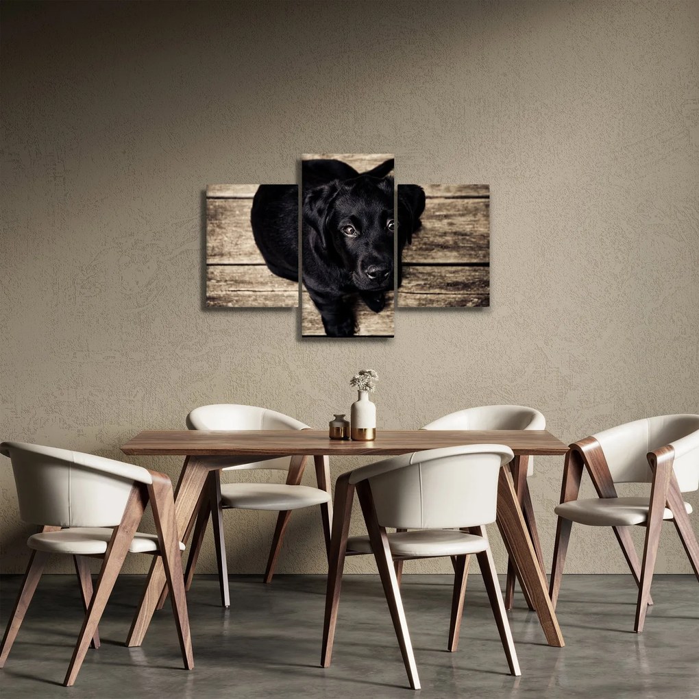 Tablou cu cățeluș negru (90x60 cm)