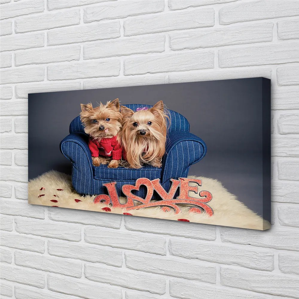 Tablouri canvas Yorkie