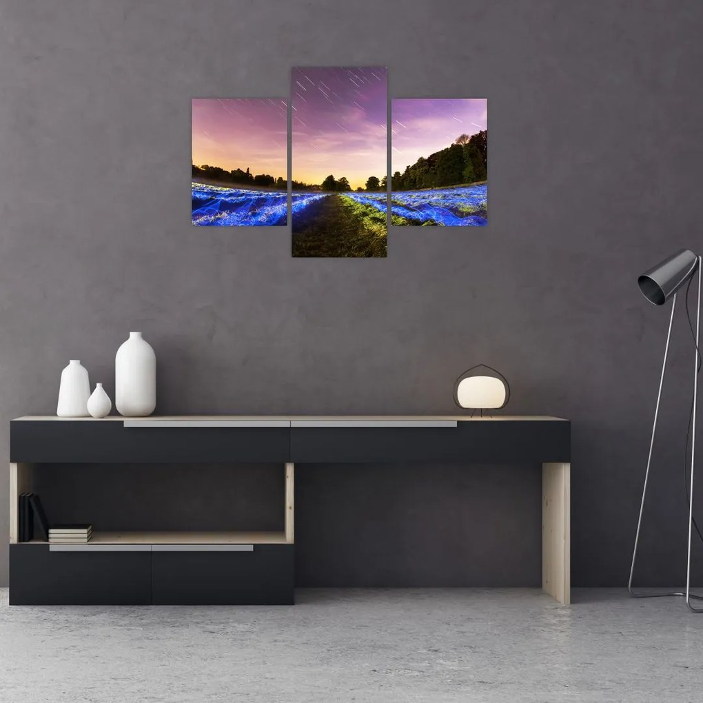 Tablou cu câmp colorat (90x60 cm)