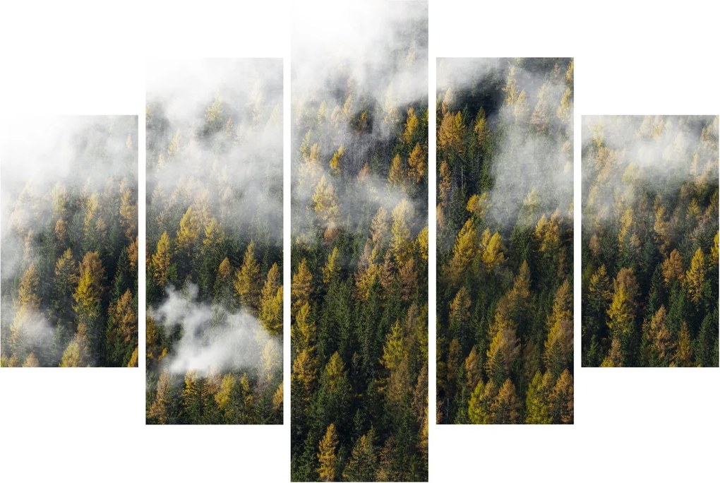 Tablou - Pădure în nori (150x105 cm)