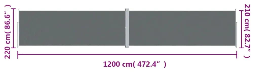 Copertina laterala retractabila, antracit, 220x1200 cm Antracit, 220 x 1200 cm