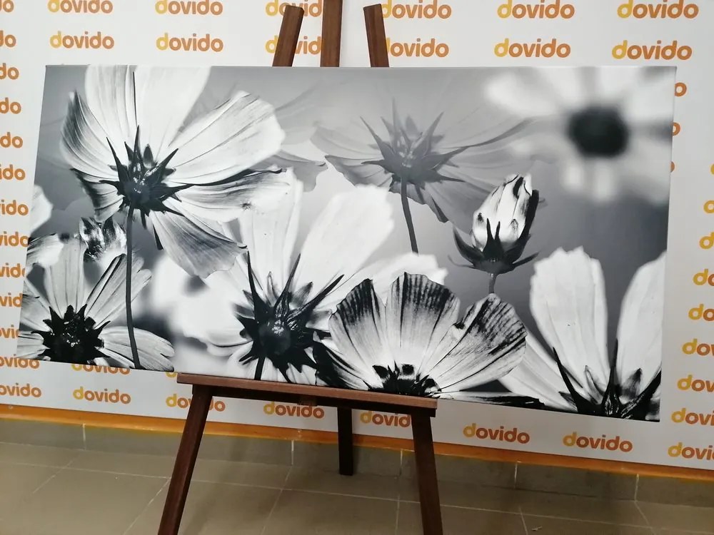Tablou flori de grădină în design alb-negru