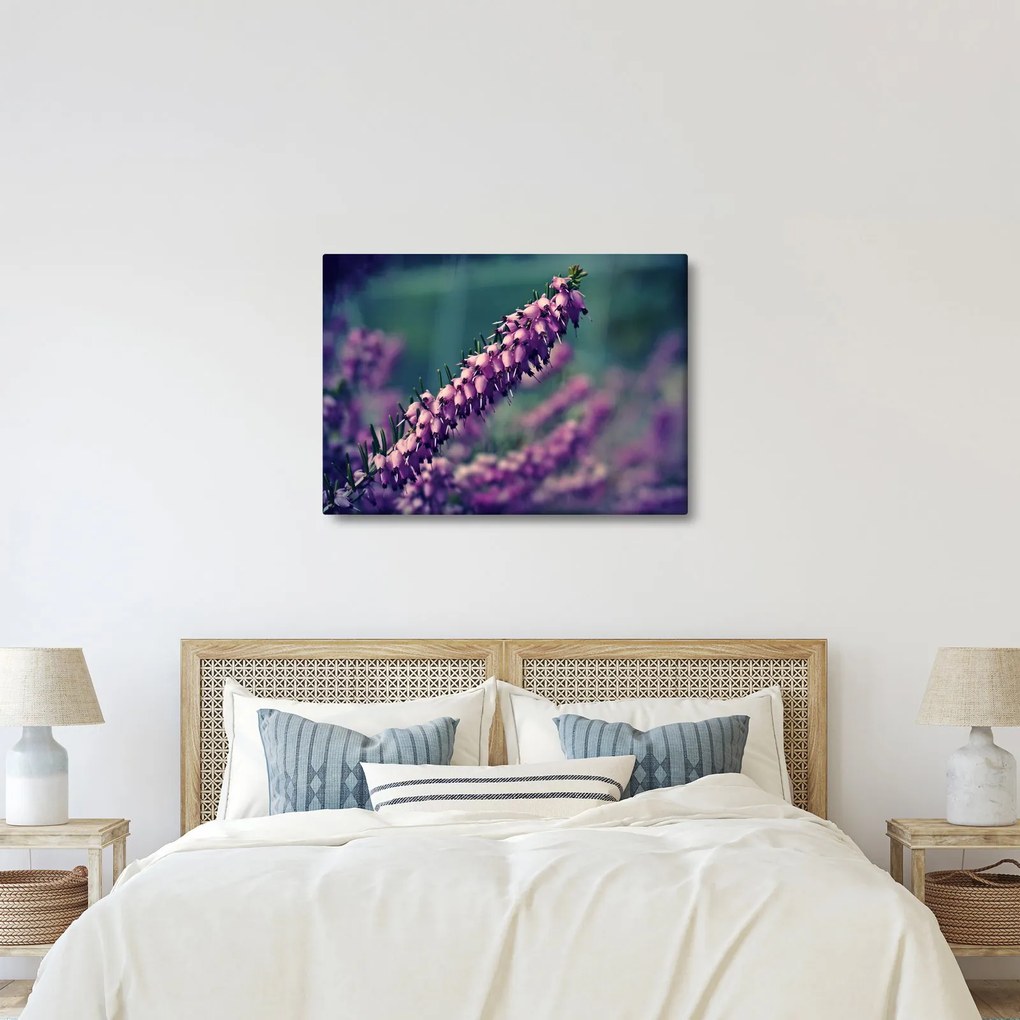 Tablou cu lavanda (70x50 cm)