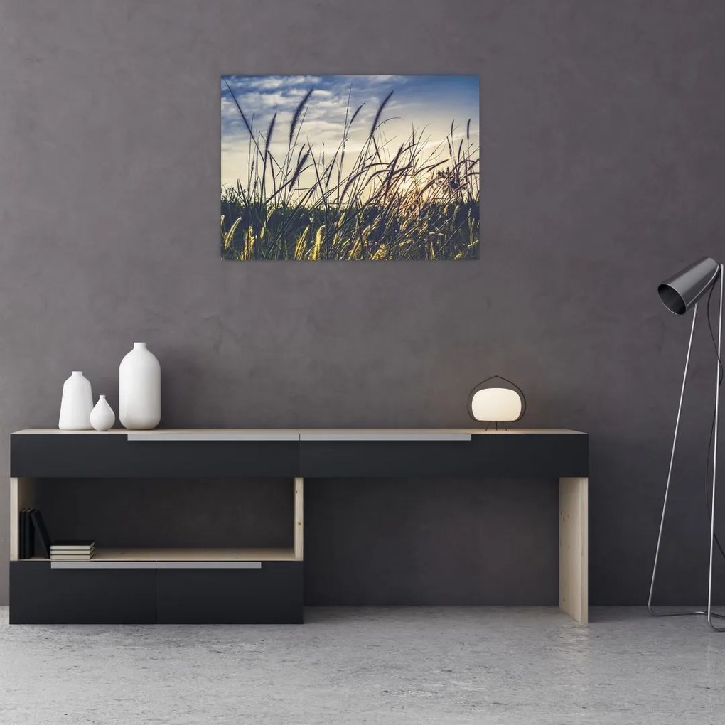 Tablou cu flori de câmp (70x50 cm)