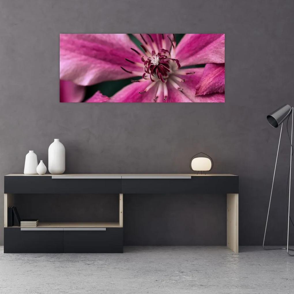 Tablou cu floarea roz de clematis (120x50 cm), în 40 de alte dimensiuni noi
