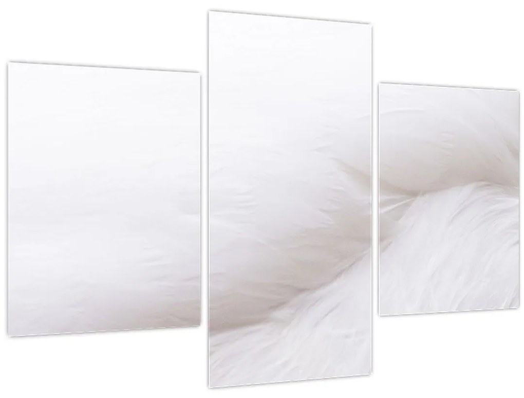 Tablou - Detalii pene (90x60 cm)