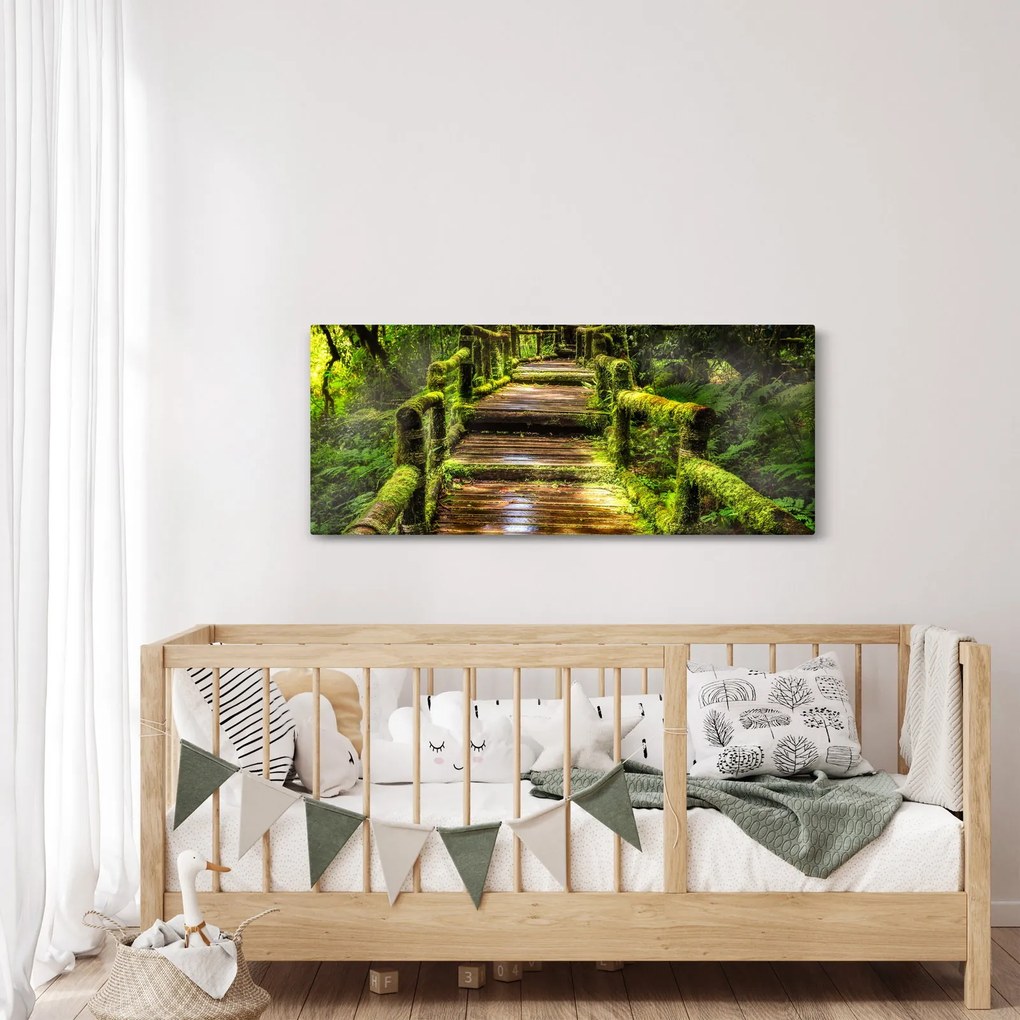 Tablou cu scări într-o pădure tropicală (120x50 cm)