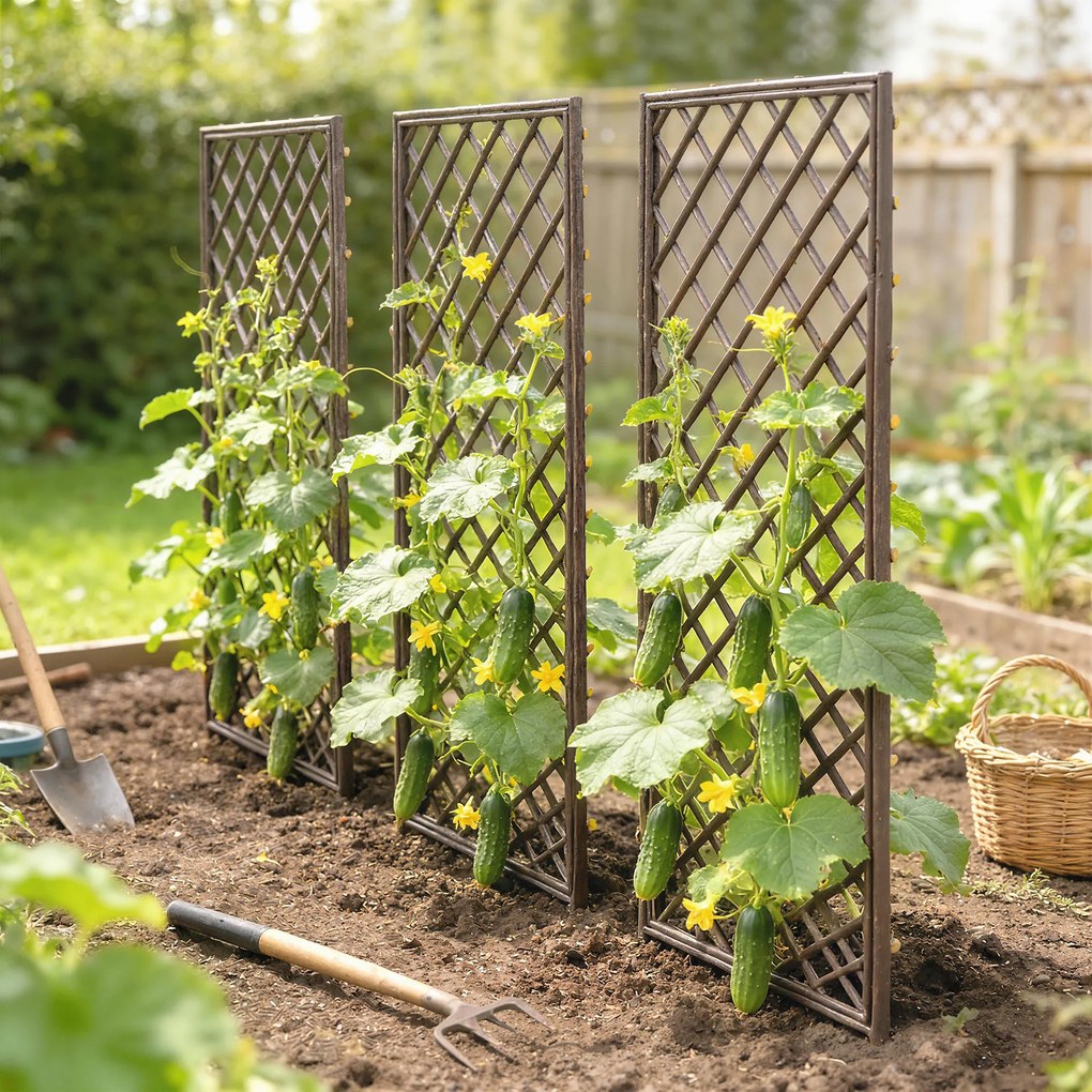 Outsunny arcade pentru trandafiri, pergole robuste pentru nunți, flori cățărătoare | Aosom Romania