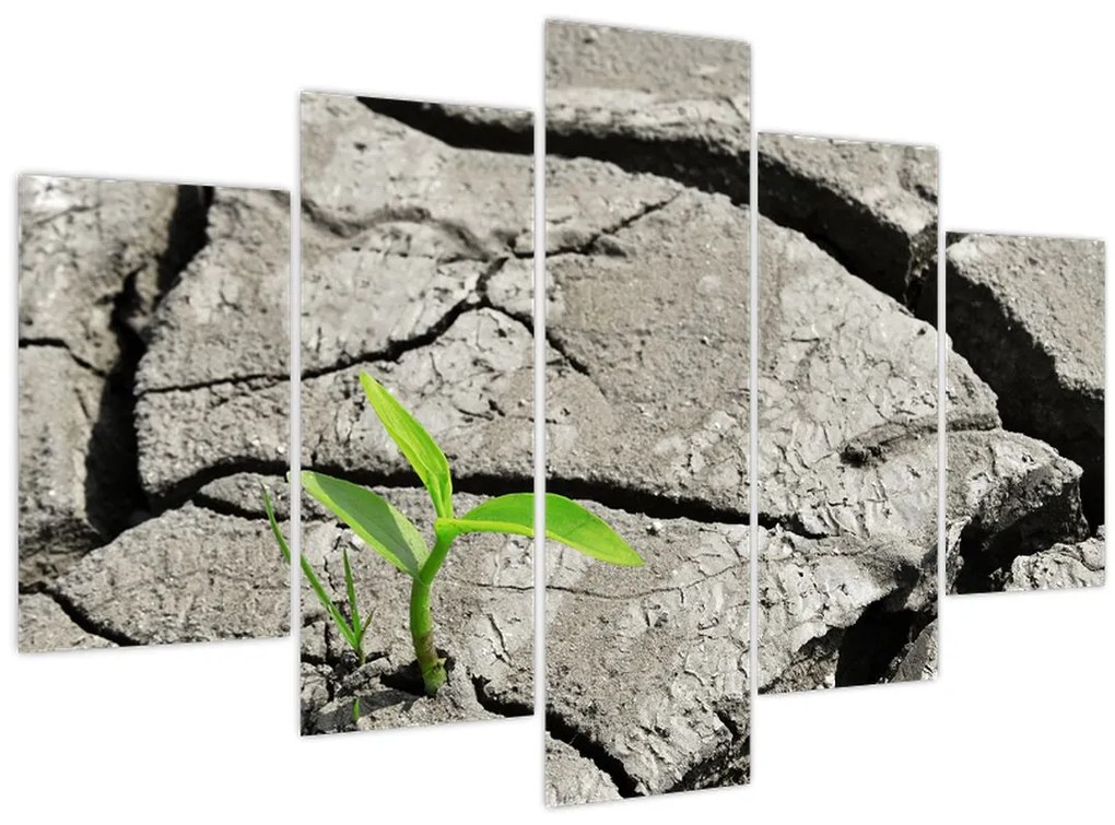 Tablou - Fisuri (150x105 cm)