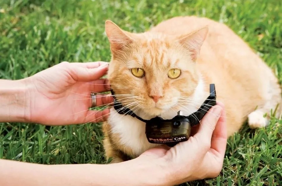 PetSafe® Extra Collar pentru pisici DeluxeUltralight