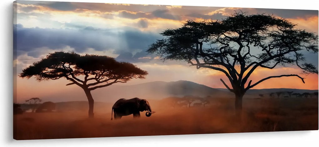 Tablou - Parcul Național Serengeti, Tanzania, Africa (120x50 cm)