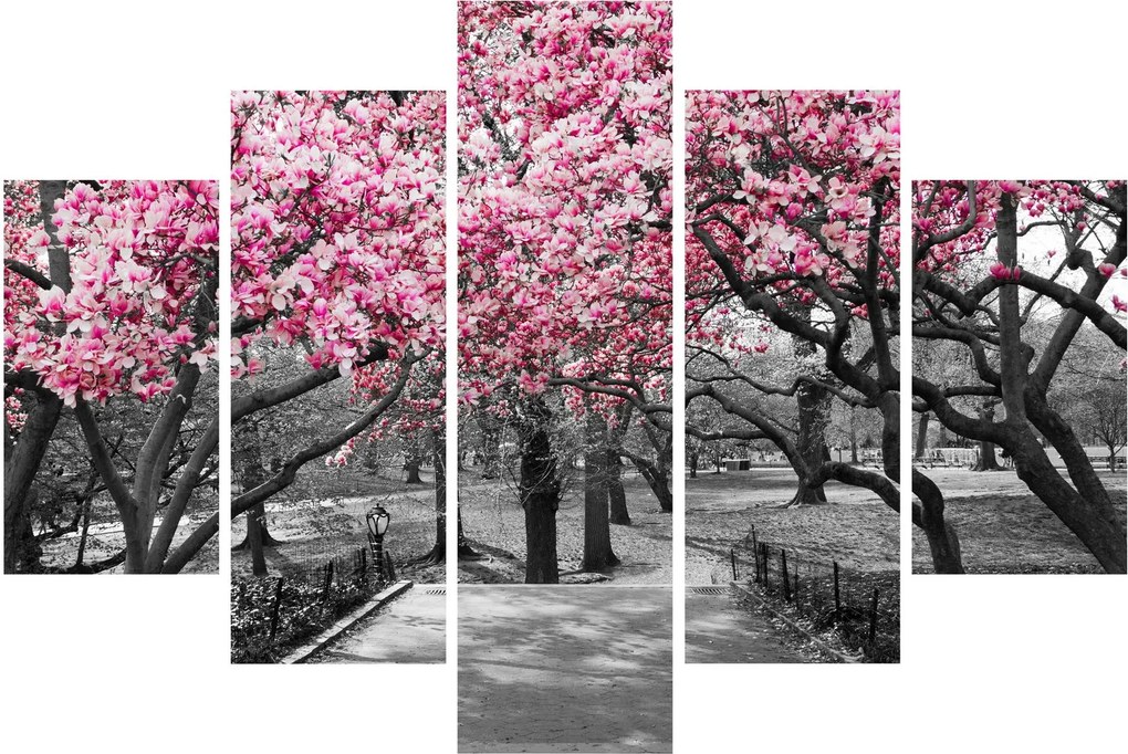 Tablou copacului magnolie (150x105 cm)