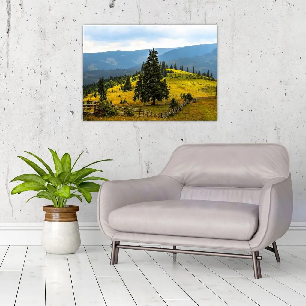 Tablou - Lunca de munte (70x50 cm)