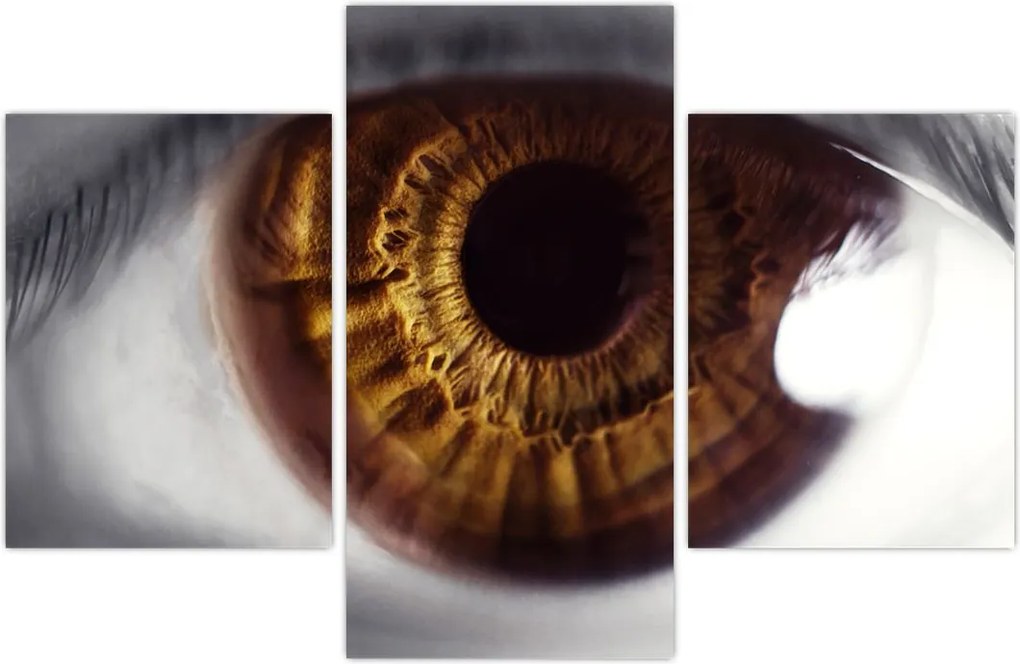Tablou - Ochi (90x60 cm)