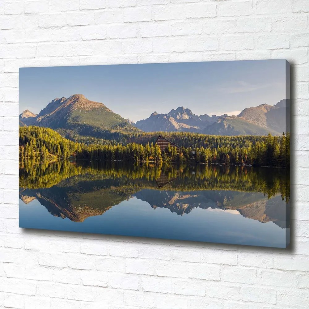 Tablou pe pânză canvas Panorama tatry