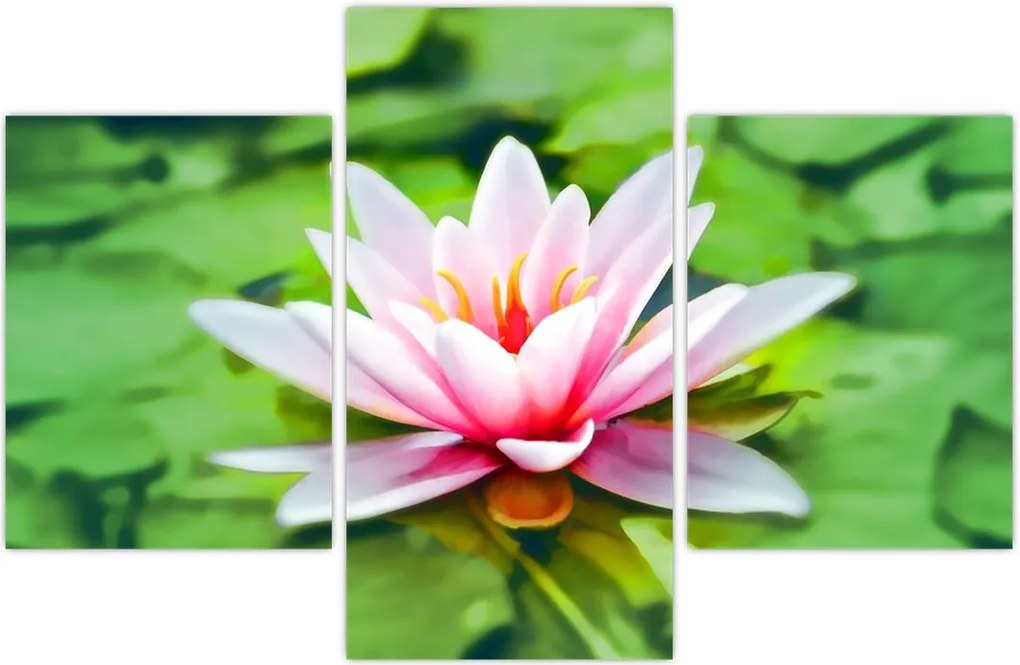 Tablou - Nuferi pe apă (90x60 cm)