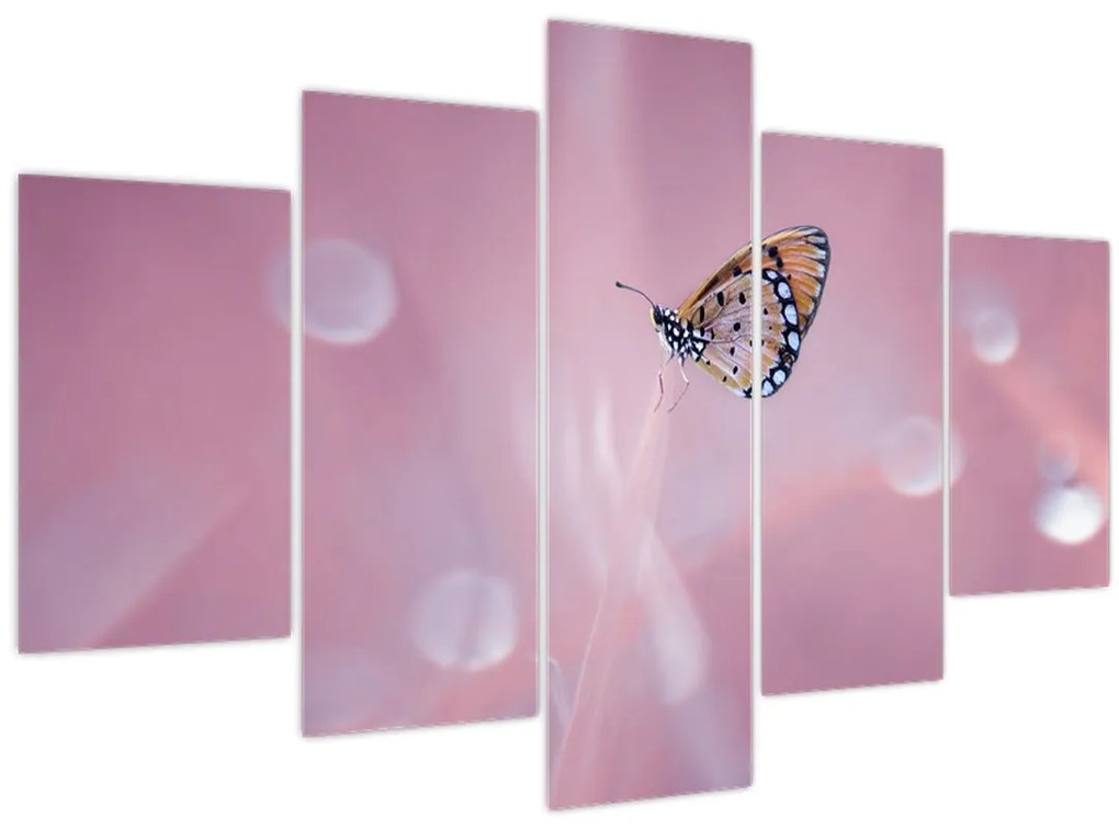 Tablou - Fluture (150x105 cm)