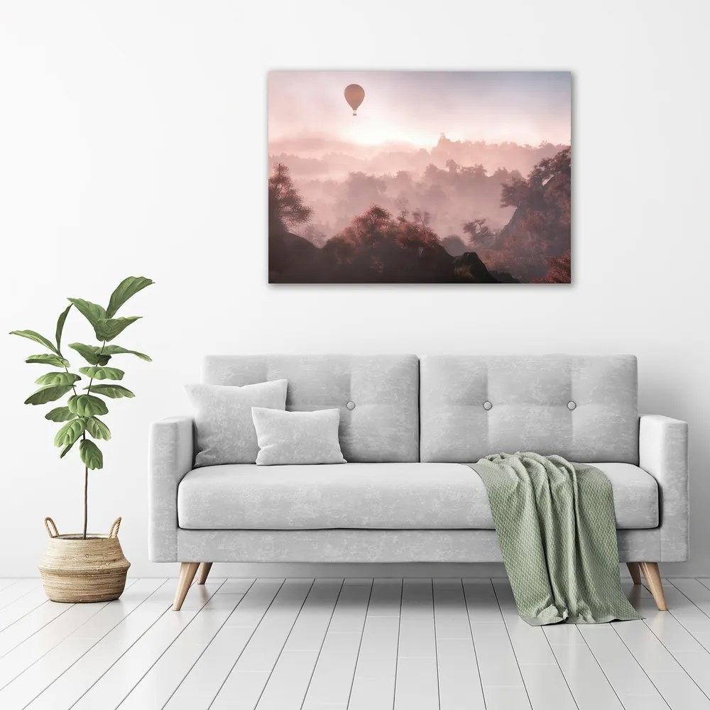 Print pe canvas Balonul deasupra pădurii