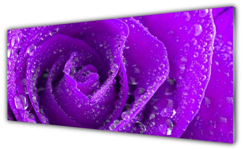 Tablou pe sticla Rose Floral violet