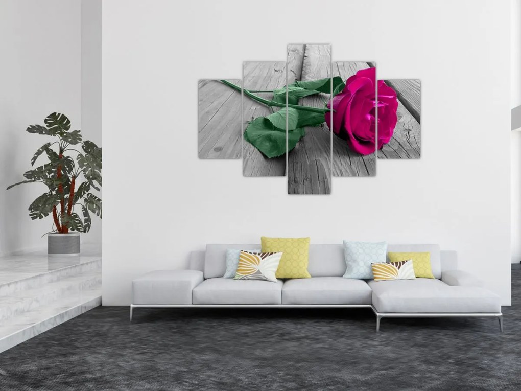 Tablou - Trandafir roz cu tulpina verde (150x105 cm)