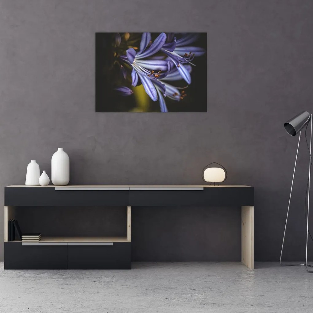 Tablou - Lila (70x50 cm)
