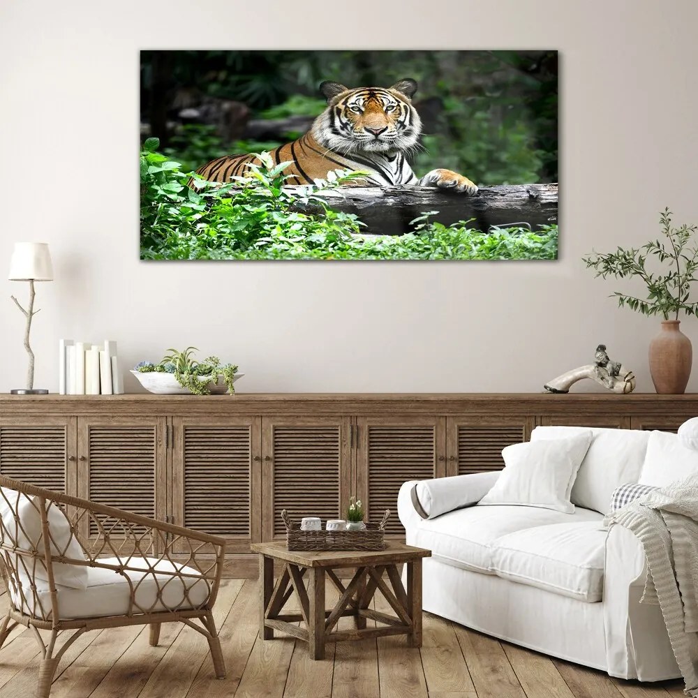 Tablou din sticla Forest Animal Cat Tiger