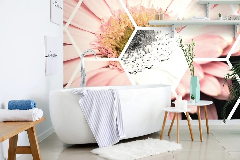 Tapet gerbera într-un hexagon