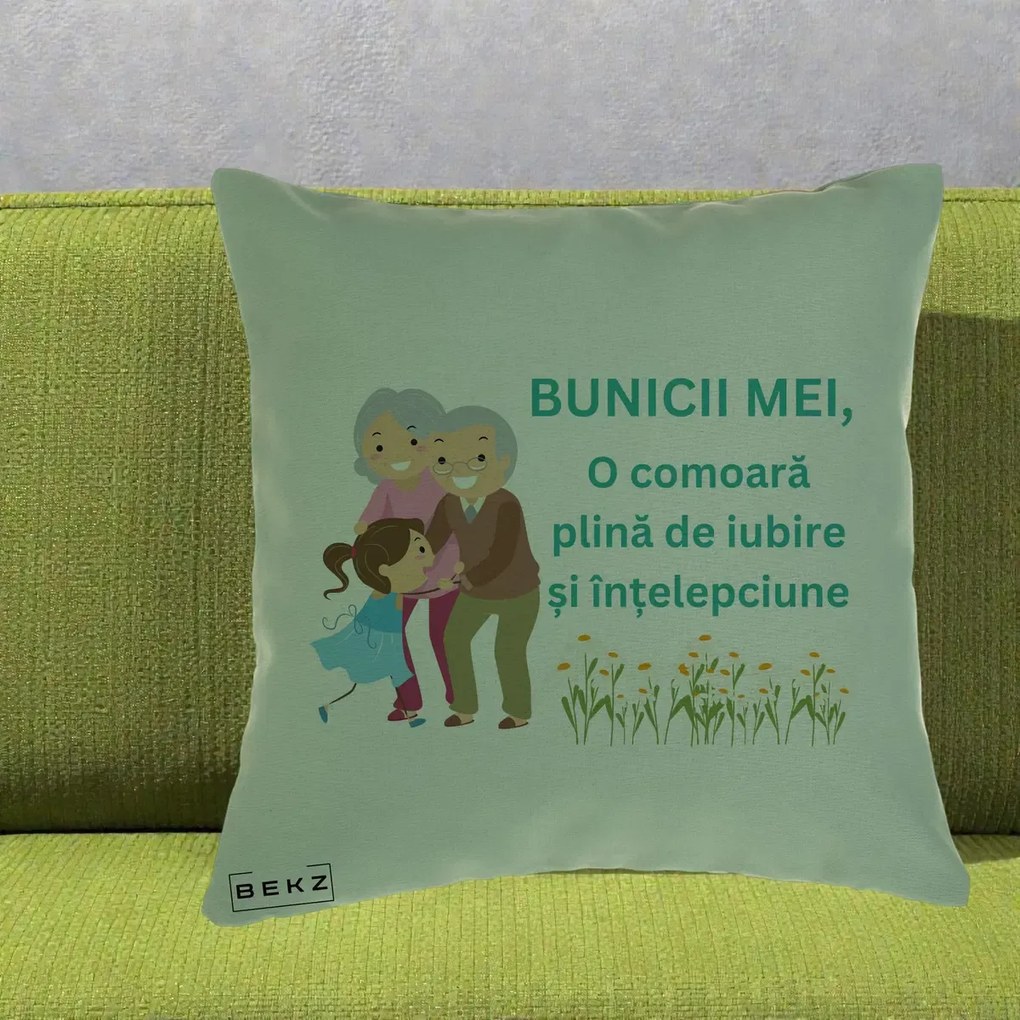 Cadou pentru Bunici - Perna Personalizata Bunicii Mei Comoara Iubire Intelepciune Nepoata, 40x40 cm, Verde, Husa Detasabila, Perna Inclusa, BEKZ®