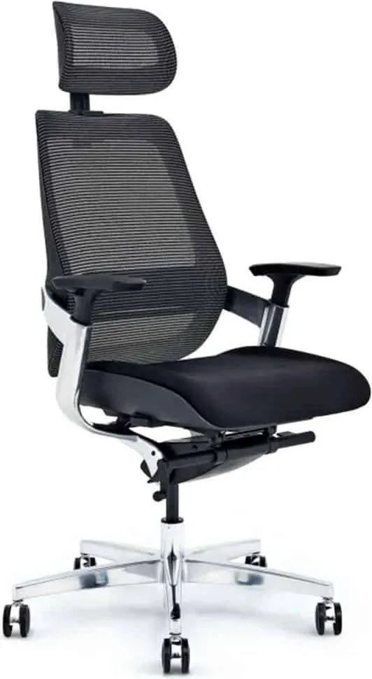 Scaun lemn masiv de birou ErgoElite Design Modern Negru