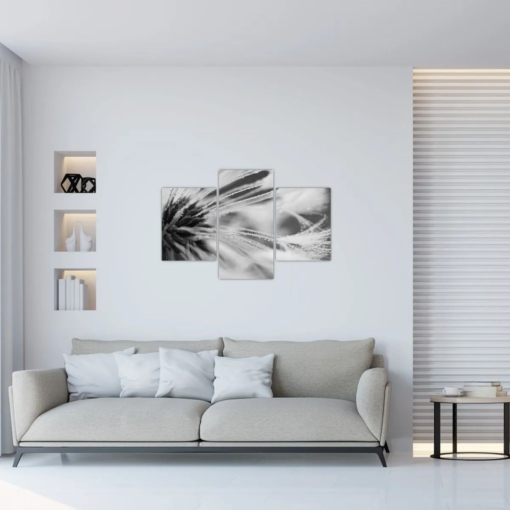 Tablou - Macro,alb-negru (90x60 cm)