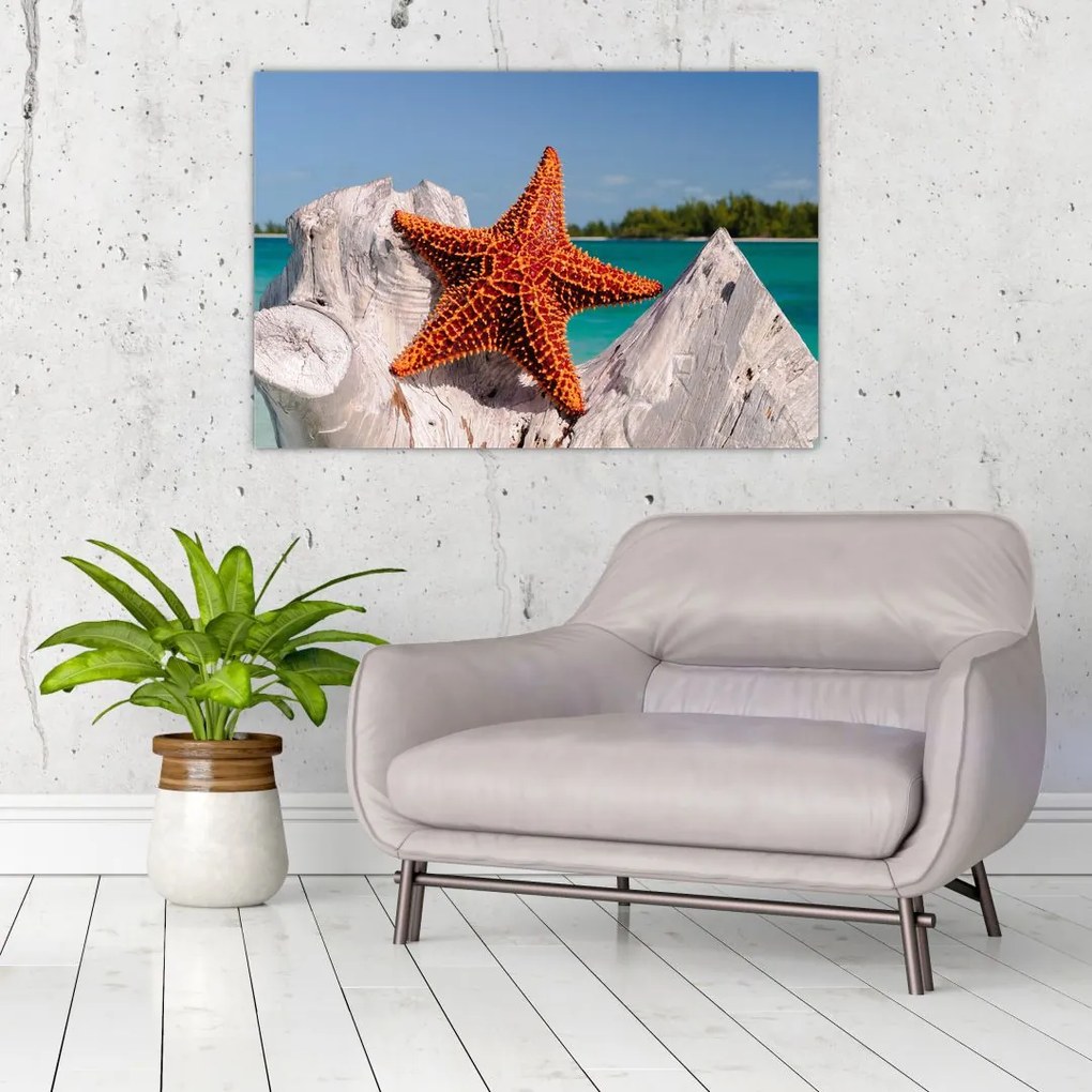 Tablou cu stea de mare (90x60 cm)